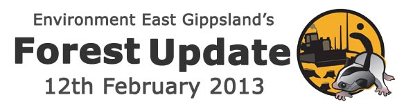 Environment East Gippsland Forest Update February 2013