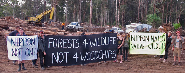 East Gippsland logging coupe protest