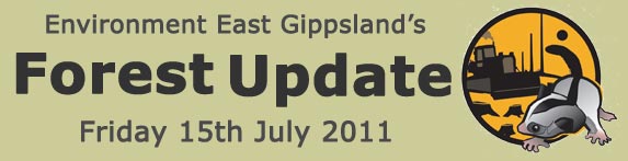 Environment East Gippsland Forest Update