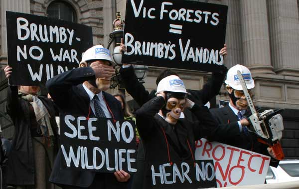 Vicforests-monkeys Vicforests - Protect No Wildlife