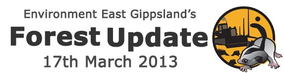 Environment East Gippsland Forest Update March 2013