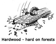 Hardwood-hard-on-forests