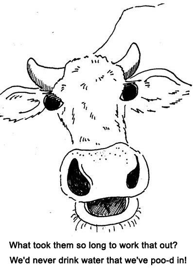 cow-face-3-1