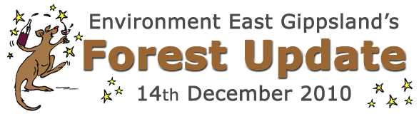 Environment East Gippsland Forest Update Christmas Edition