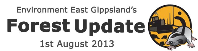 Environment East Gippsland Forest Update August 2013