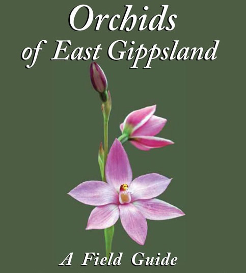 field guide to East Gippsland’s orchids