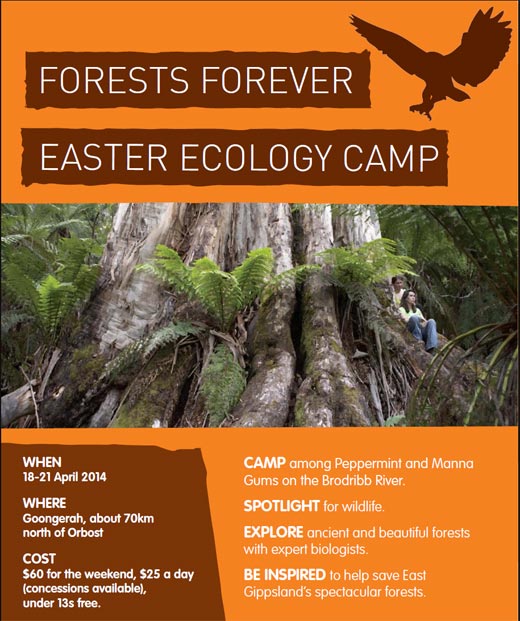 Forests Forever 2014 The 32nd Easter Ecology Camp Click here for more details and to book online.