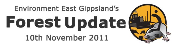 Environment East Gippsland Forest Update