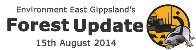 Environment East Gippsland Forest Update Winter 2014