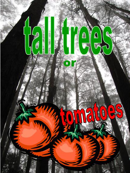 Tall trees or tomatoes?