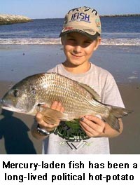 Mercury-laden fish has been a long-lived political hot-potato