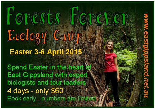 'Forests Forever 2015'