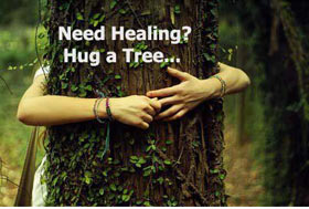 tree hugging is good for your health