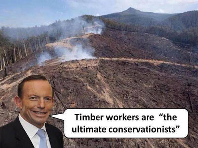 Prime Minister Tony Abbott has declared that too many of Australia's forests are 'locked up'